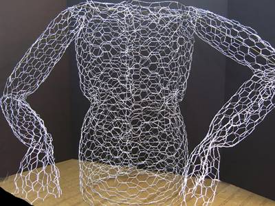 Chicken Wire Sculpture Used as Frame for Plants, Floats