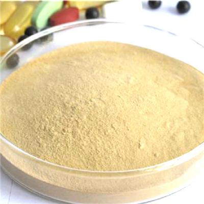 Burdock Tea Powder / Herbal Tea / Burdock Tea / Burdock Root Extract Powder