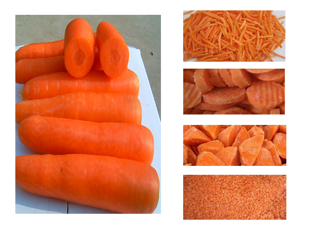 IQF/Frozen Chinese carrot slice/strips/diced carrot