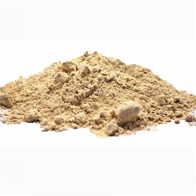 Haricot Powder / Haricot Beans Powder / Extract Powder
