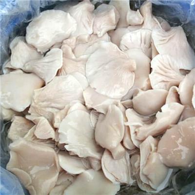 Canned Oyster Mushroom Manufacturer and Factory,Suppliers,Exporter