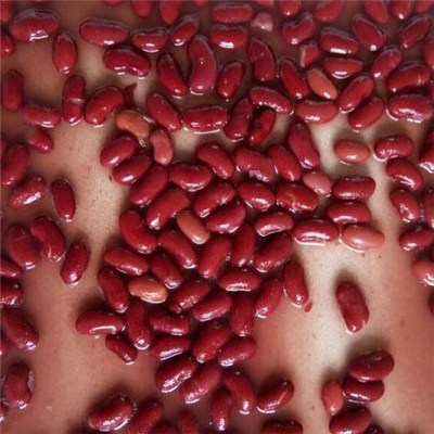 Nutrition Canned Light Red Kidney Beans