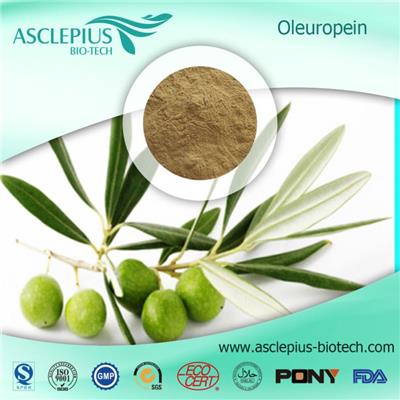 Olive Leaf Extract Supplement Supplier Wholesale