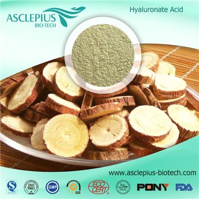 Astragalus Root Extract Powder/huang Qi extract/the Active Ingredient Is Astragaloside,astragalin Supplier Wholesale