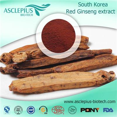 Korean Red Ginseng Extract POWDER Supplier Wholesale