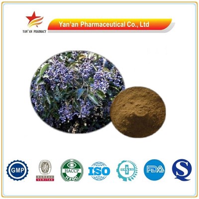 Chinese Herb Medicine Glossy Privet Fruit Extract Ursolic Acid / Fructus Ligustri Lucidi