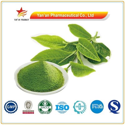 Herb Plant Extract Matcha Powder/Matcha Green Tea Powder