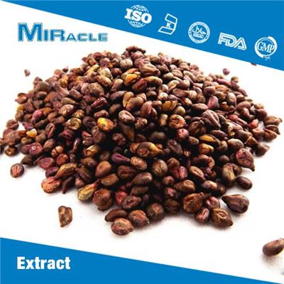 Grape Seed Extract|Maritime Pine Bark Extract|Pycnogenol|Proanthocyanidins|Procyanidine Powder for Sale