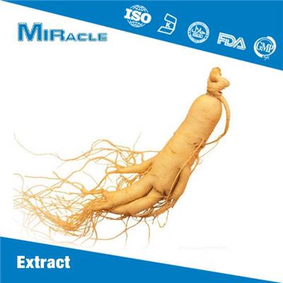 Panax Ginseng Root Extract|Red Ginseng Extract|American Ginseng Extract|Ginsenoside Powder for Sale