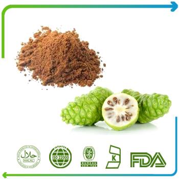 Hot Sale Noni Fruit Extract Powder Noni Capsules Morinda Citrifolia Extract|Moringa Fruit Extract 5:1 |10:1| 20:1