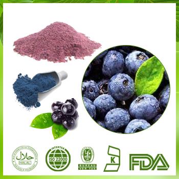 Blueberry Extract 25% Anthocyanidin Cranberry Extract Powder |Bilberry |Cranberry GMP Certified Manufacturer Supply Anthocyanidin