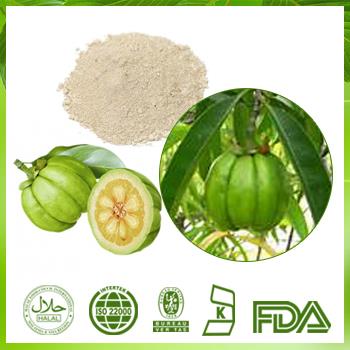 Garcinia Cambogia Extract Hydroxycitric Acid Pure 50% HCA Loss Weight Natural Garcinia Cambogia Extract for Capsules Garcinia Cambogia Extract Powder