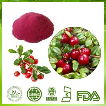 Bearberry Extract Arbutin 98% Bearberry Leaf Extract Powder|100% Natural UVA Ursi P.E.（CAS : 84380-01-8）