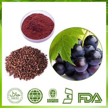 Grape Seed Extract, USA Warehouse 95% OPC|Grape Seed Extract Powder Proanthocyanidin