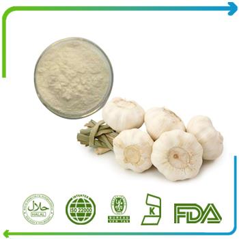 Garlic Extract Powder Allicin 5% Bulk Supply Odorless Garlic Extract 10:1 20:1 Pure Natural
