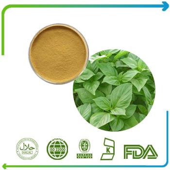Sweet Basil Herb Extract Powder|Holy Basil Extract Powder Holy Basil Leaf Extract with Free Sample 20:1 Herb Plant Powder GMP Manufacture Supply Top Quality