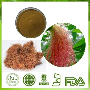 100% Natural Corn Stigma Extract | Corn Silk Extract Powder , 5:1 10:1 20:1 by TLC