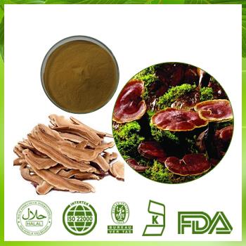 Factory Supply Reishi Mushroom Extract Polysaccharides 30%-50% UV Healthcare Product Ganoderma Lucidum Extract