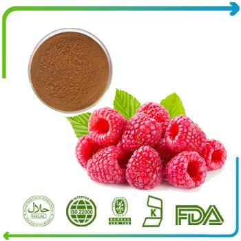 Raspberry Extract 4% Raspberry Ketones Palmleaf Raspberry Fruit Extract CAS#: 5471-51-2 from GMP Assessment Supplier