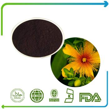 St.John's Wort Extract Hypericin 0.3% UV Herbal Medicine Hypericum Perforatum Extract Powder Natural Good Quality