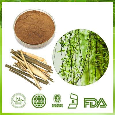 Salix Alba L. Extract|white Willow Bark P.E. White Willow Bark Extract Powder 15%-98% Salicin Manufactory Supplier Best Quality