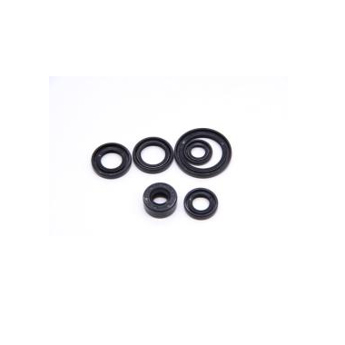 Motorcycle Front Fork Oil Seal Kits