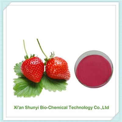 Strawberry Extract | Natural Strawberry Extract 4:1-20:1 Powder