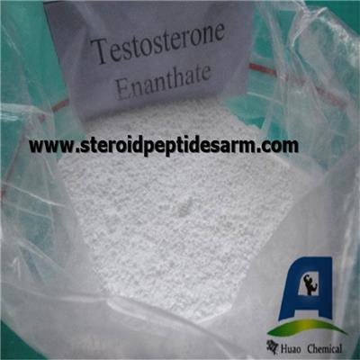 Injectable Hormone Primoteston Muscle Mass Testosterone Enanthate Steroid Test E Powder For Bodybuilding
