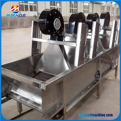 High Capacity Conveyor Belt Type Automatic And Continuous Fruits Drying Equipment