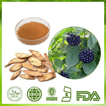 Siberian Ginseng Root Extract, Eleutherosides B+E 0.8% HPLC|USA Warehouse Siberian Ginseng Root Extract