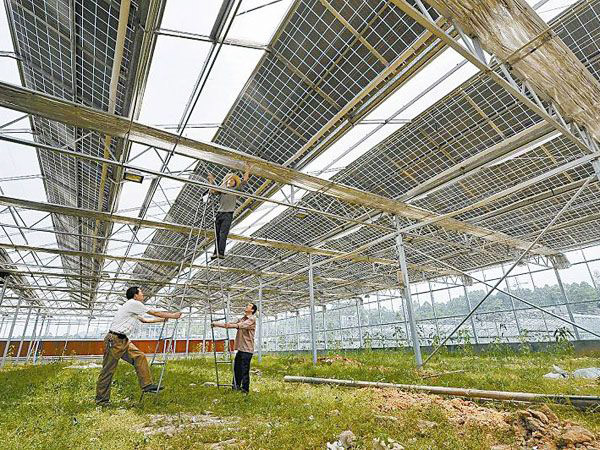 new style floriculture greenhouse from china