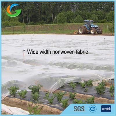 UV Resistant Agriculture Polypropylene Non Woven Fabric For Fruit Bag