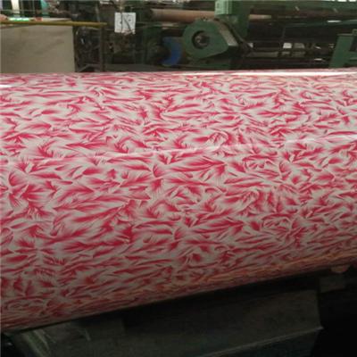 Cold Rolled Galvanizd Steel Coil PPGI Stainless Steel Coil Stock