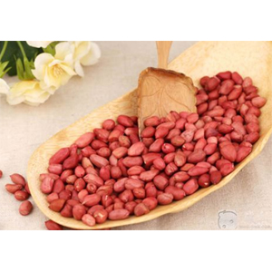 Pre - pressing and Leaching Process of Peanut
