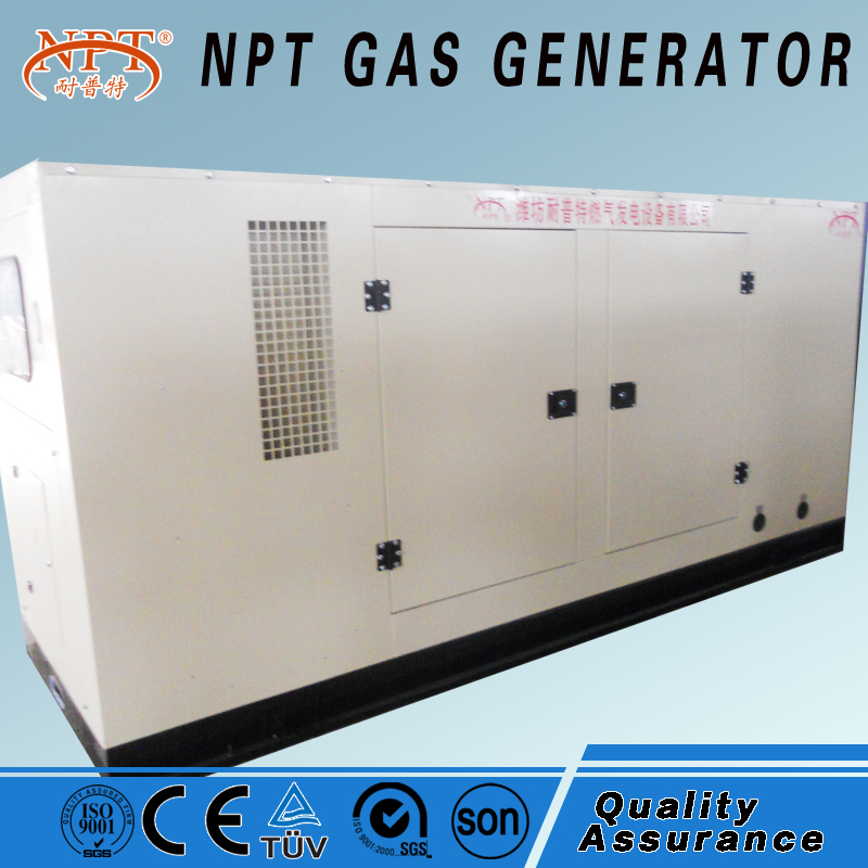 100kW natural gas generator set from NPT