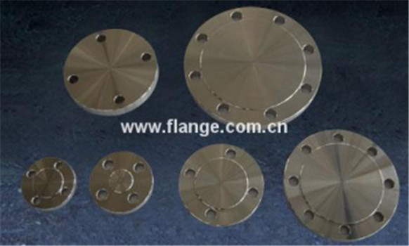 China Modern Design big diameter steel forged flanges