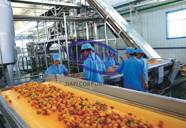 mango pulp making equipment | mango jam processing line JIANYI Machinery