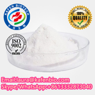 99% Benzocaine Hydrochloride Local Anesthetic Agents Benzocaine HCL CAS 23239-88-5