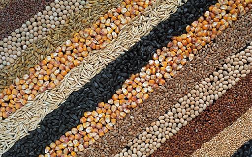 Поставки зерновых, зернобобовых, масличных культур