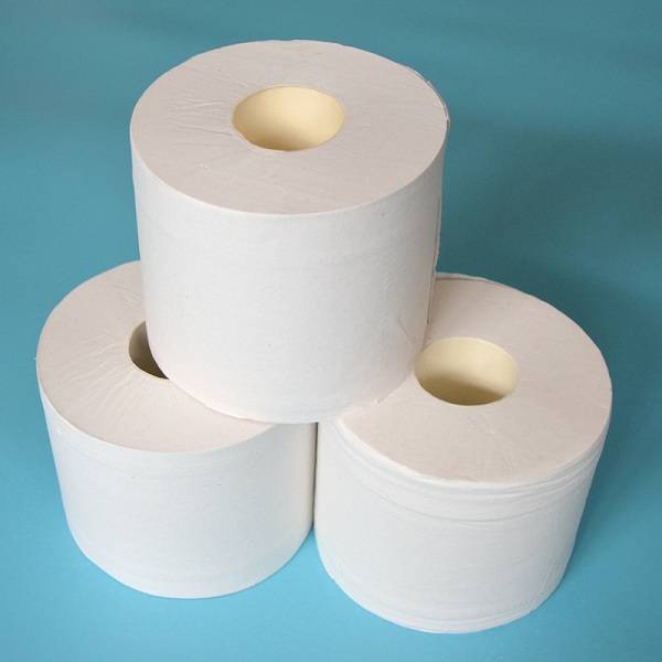 Toilet Paper - Recycled Paper