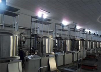 industrial automatic potato/sweet potatoes chips vacuum fryer supplier 