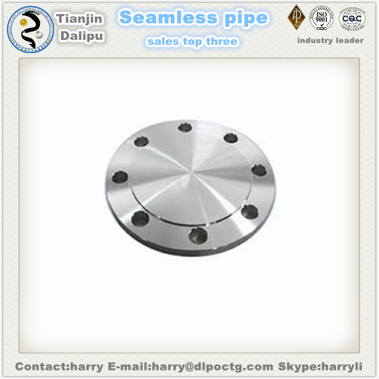 Stainless Steel Blind centrifugal pump flange