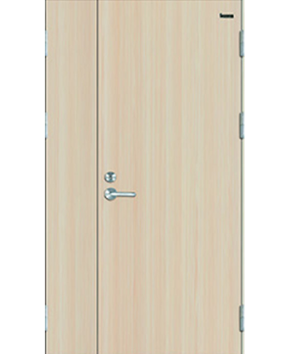 Panel Fire rated wooden Door