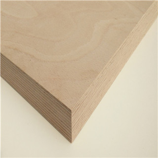 Customized size beech plywood with Formaldehyde Free