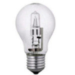 Halogen Light Bulb A19