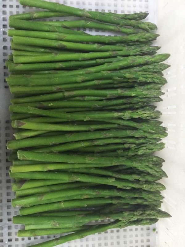 Frozem/IQF Asparagus Spear 