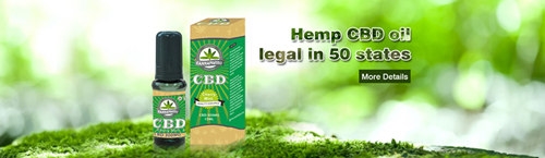 hemp oil choose cbd oil, its FEELLiFE is the cannabis oilin