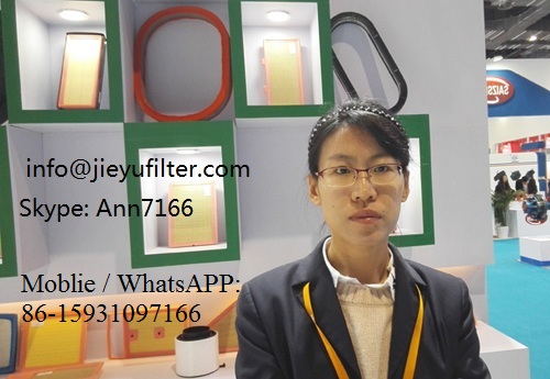 air filter car, European Quality Made in China