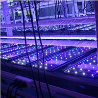 dimmable led aquarium lightpreferred led aquarium light,the