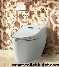 HK768 complete intelligent smart toilet  electronic Bidet   